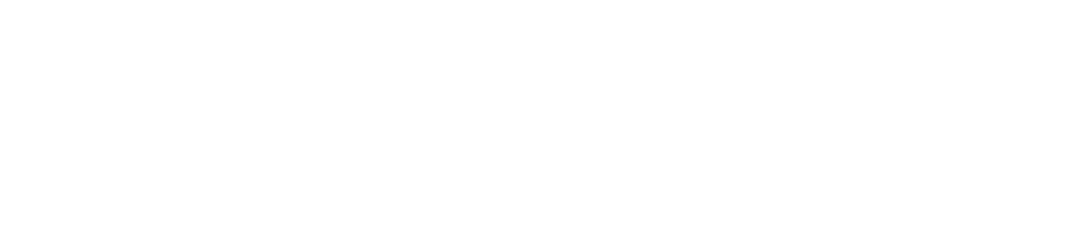 Mirko Varischi